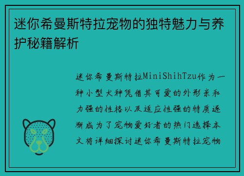 迷你希曼斯特拉宠物的独特魅力与养护秘籍解析